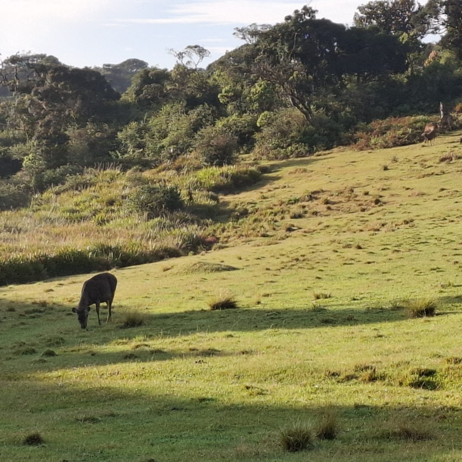 Complete Sri Lanka Explorer - 10 Days