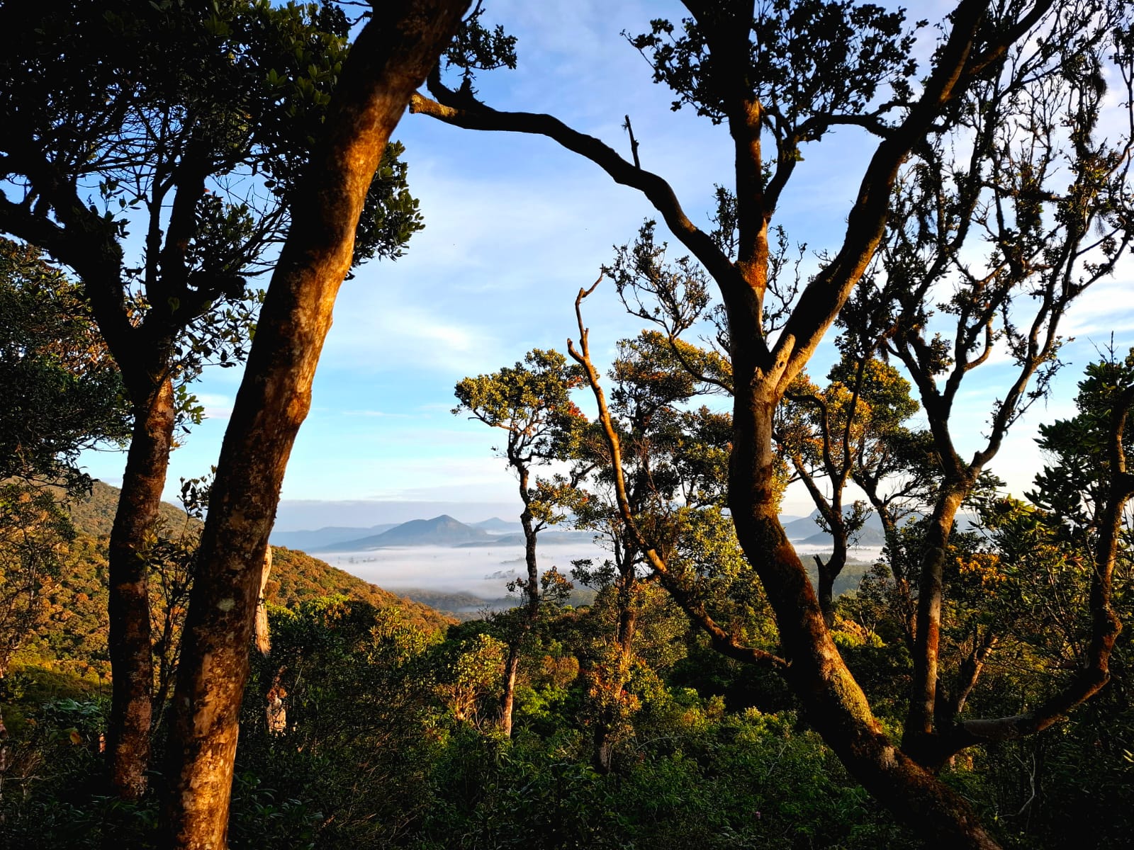 Cultural & Hill Country Adventure - 7 Days